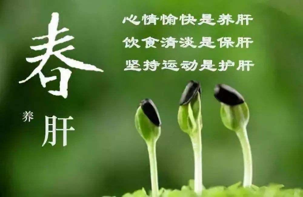 乙肝，痊愈後再次發病